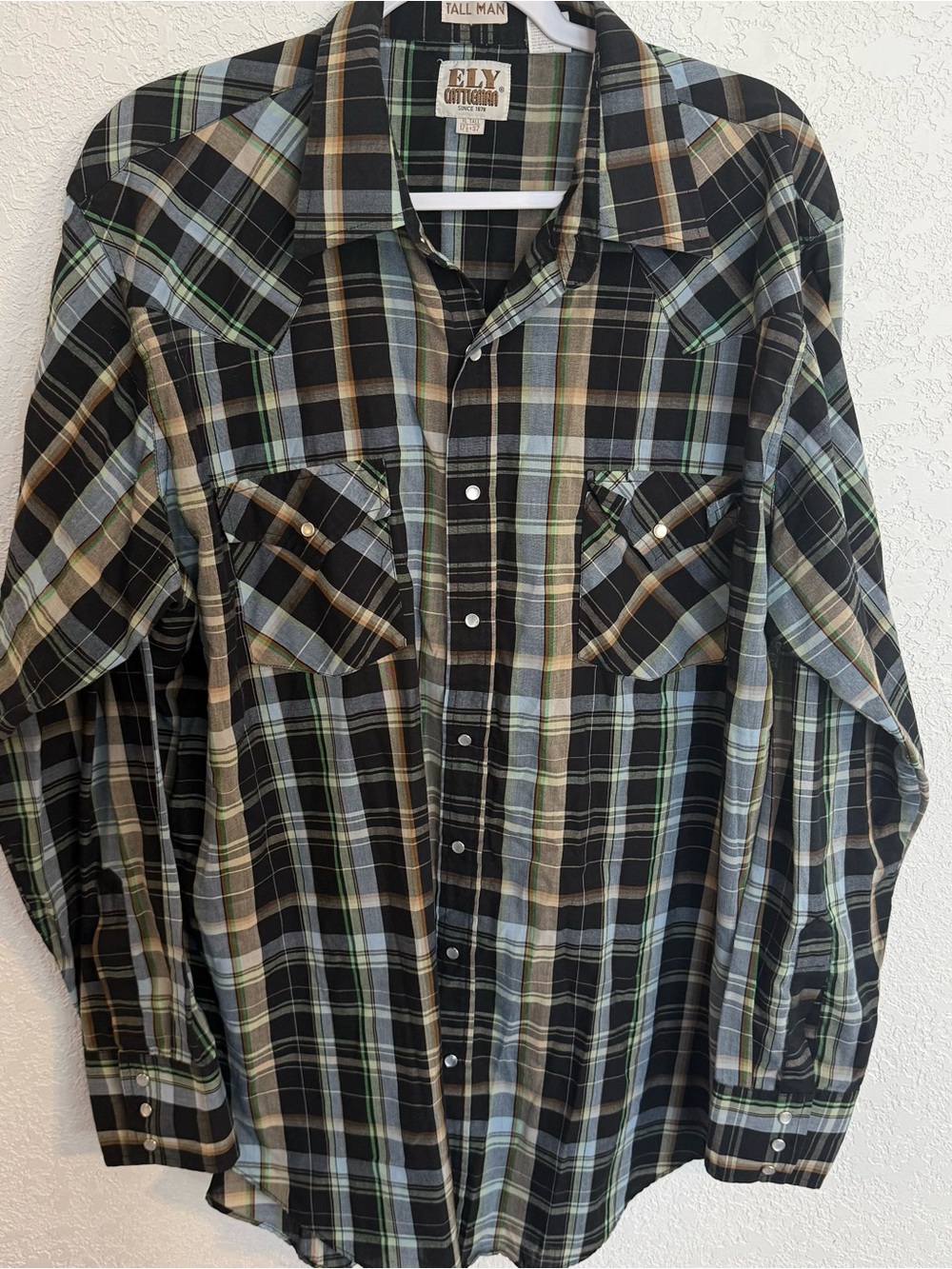 Vintage ELY Cattleman Men’s Western Plaid Button-Down Shirt - Black & Green